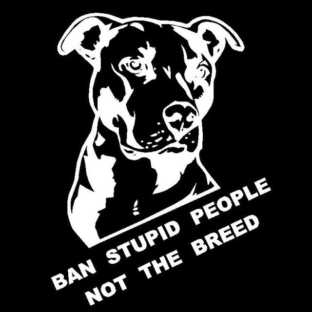Stupid Pitbull Sticker
